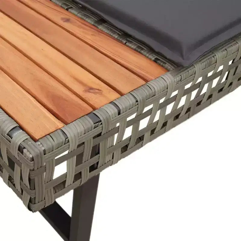 vidaXL Ensemble de canapés de jardin 2 pièces avec coussins en poly rotin et verre