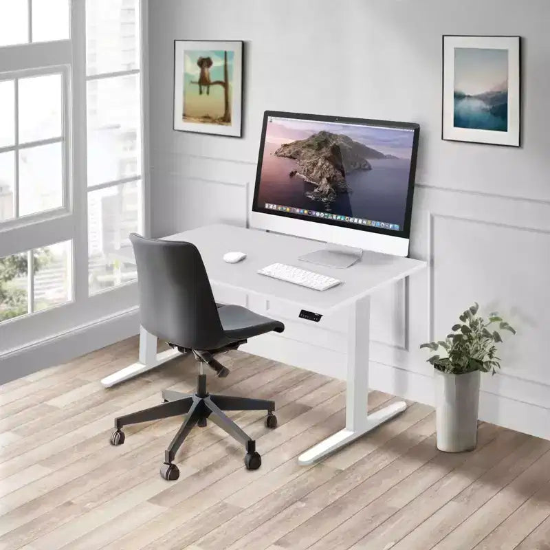 Dual Motor Electric Standing Desk with 48" Tabletop, Height Adjustable, White