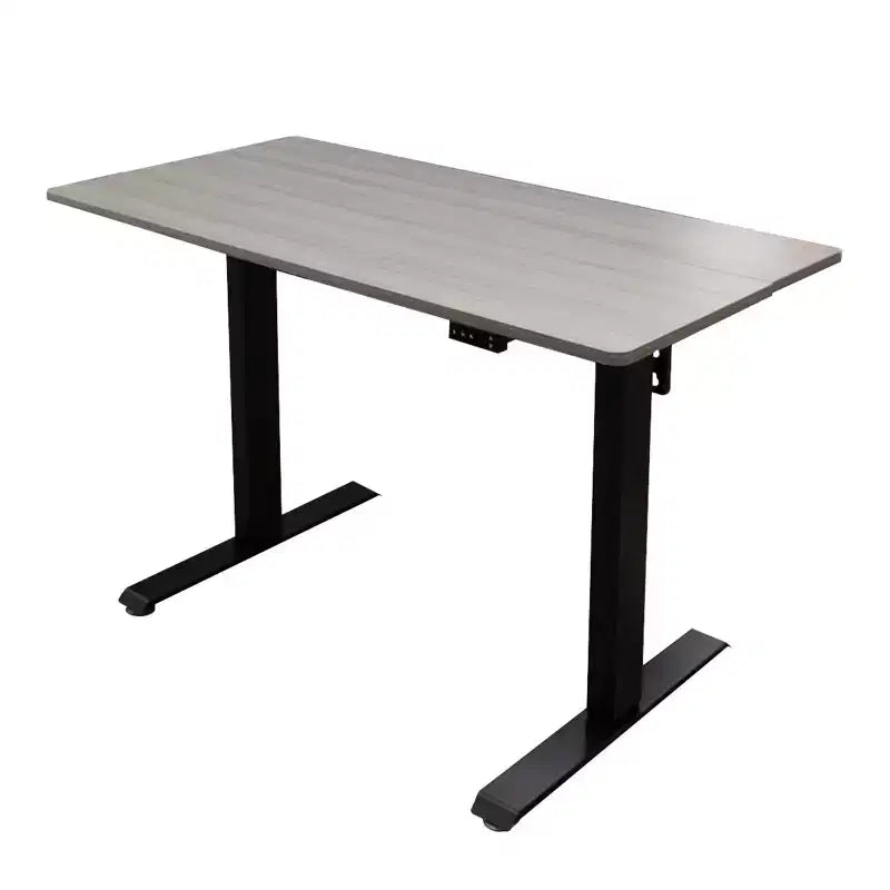 Programmable Electric Two-Tier Compact Standing Desk, 48" Wide, White Frame with Birch Desktop